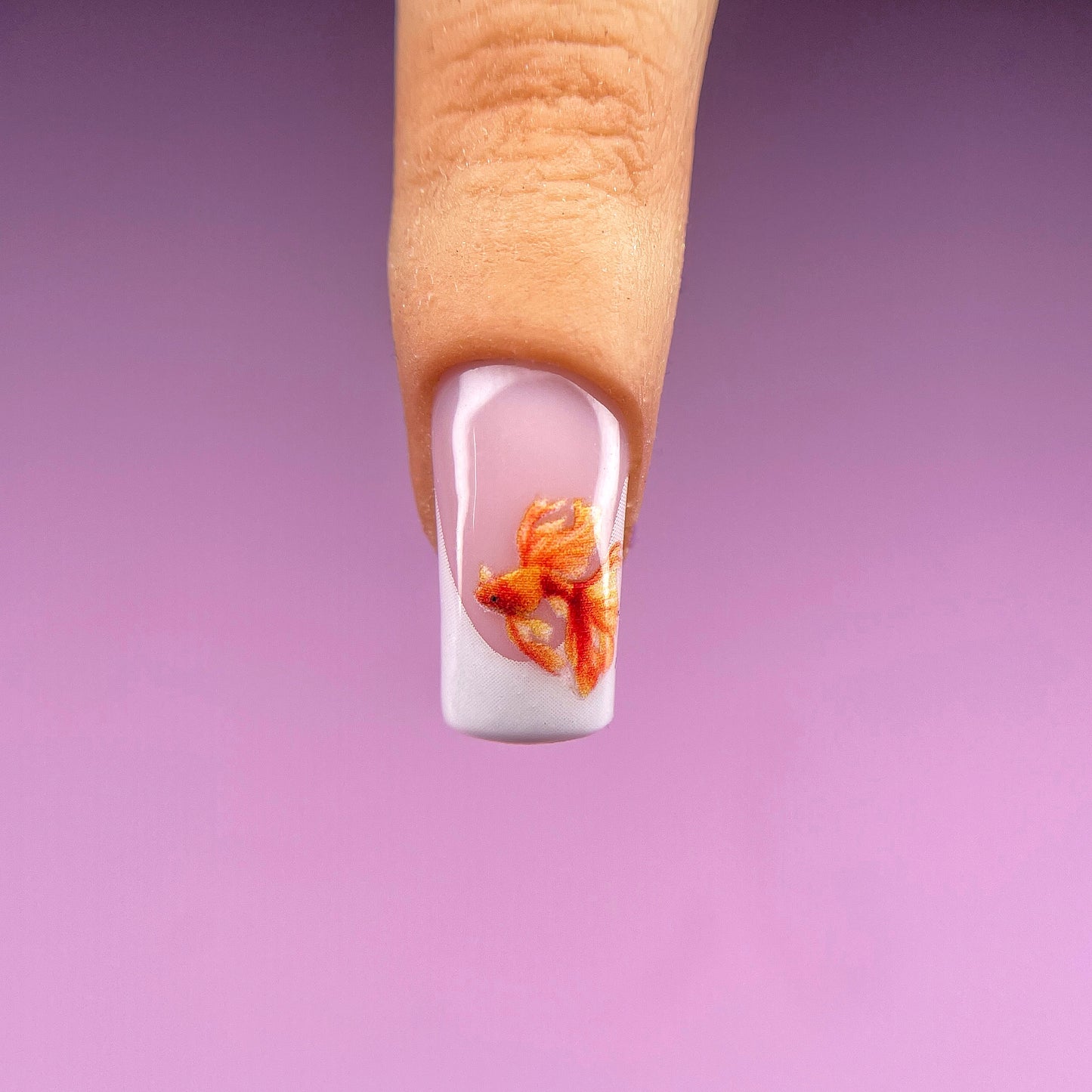 GOLD FISH transfer stickers