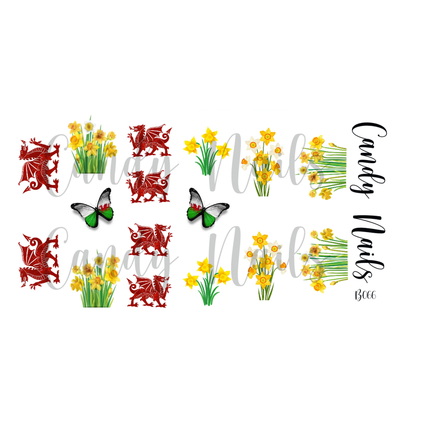 ST DAVID'S DAY (b066)