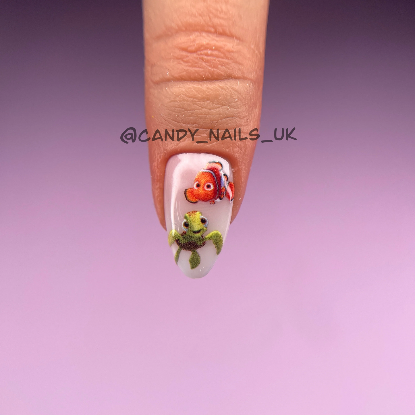 CLOWNFISH transfer stickers (D1)