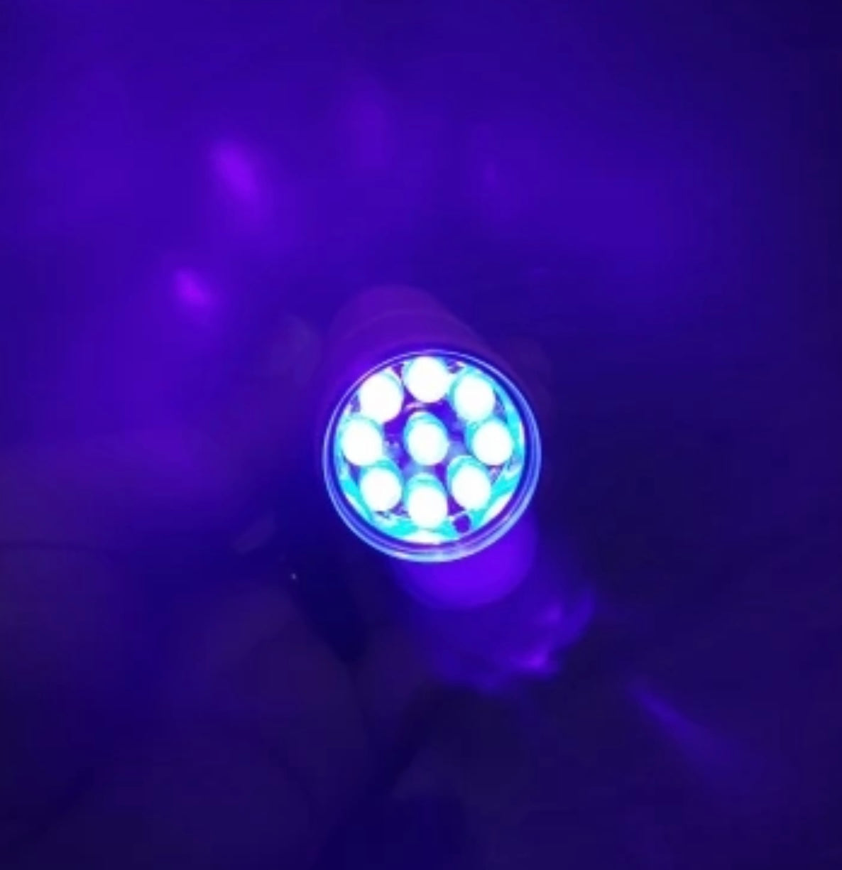 PORTABLE MINI UV LAMP