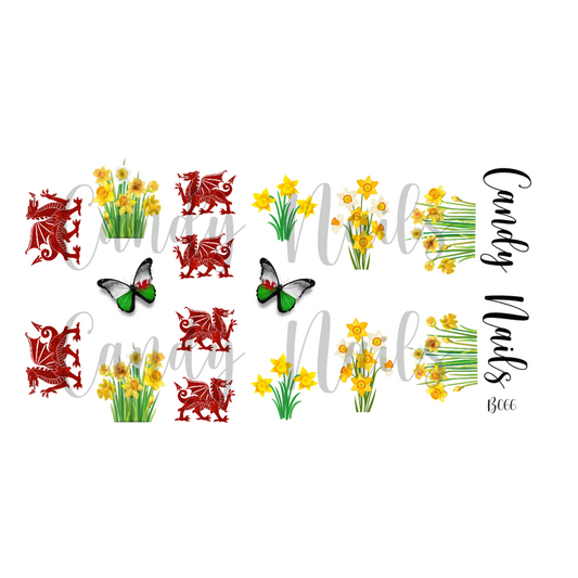 ST DAVID'S DAY