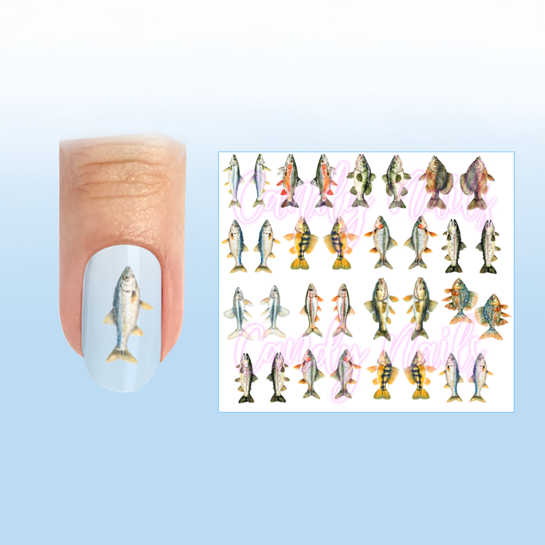 FISHES transfer stickers